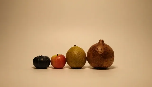 温度监控在种植技术指导中的适用条件与处理建议