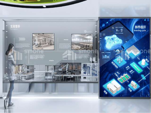 重庆体球囊成形品牌